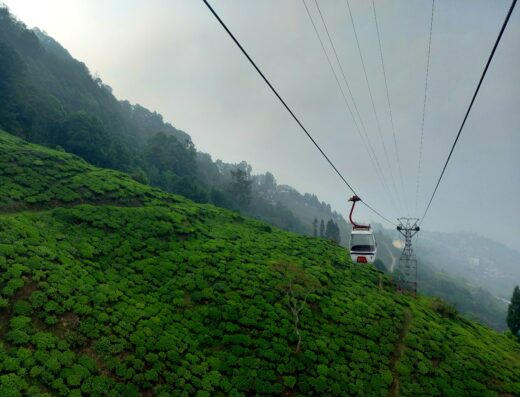 Darjeeling 2N3D