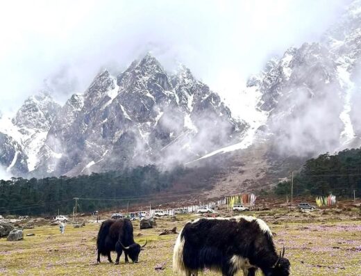 North Sikkim 4N5D
